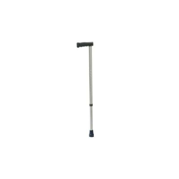 WS020-30_Walking_Stick.jpg